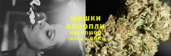 МДПВ Бородино