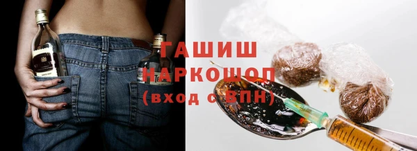 МДПВ Бородино