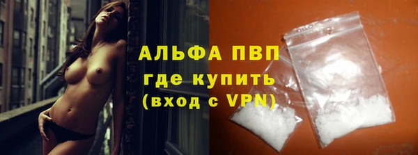 МДПВ Бородино