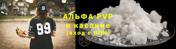МДПВ Бородино