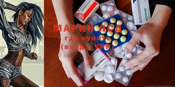 МДПВ Бородино