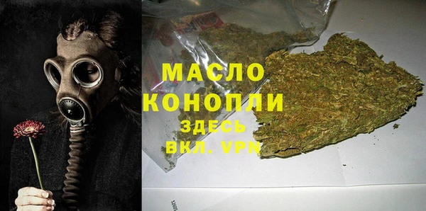 МДПВ Бородино