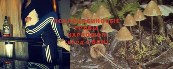 МДПВ Бородино