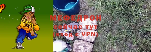 МДПВ Бородино